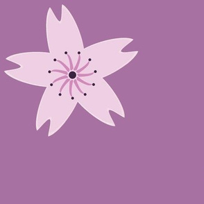 Cherry Blossom on Light Magenta