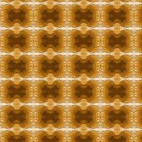Mud Pattern