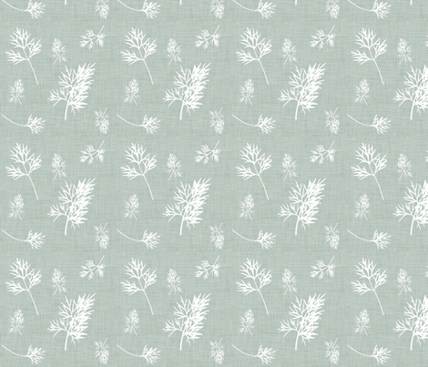 Grey_Dill