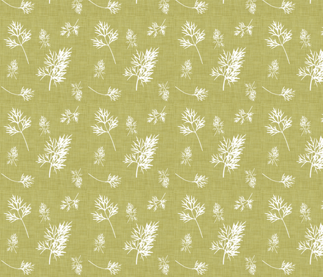 Natural_Dill