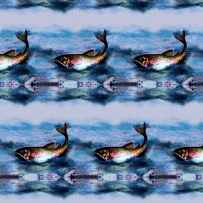 fishsave-ed