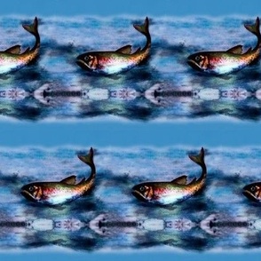 fish / blue