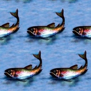 fish in water