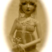 Rrdscn6816_shop_thumb