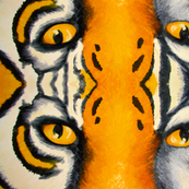 tiger eyes