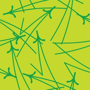 Matuba (Green +)