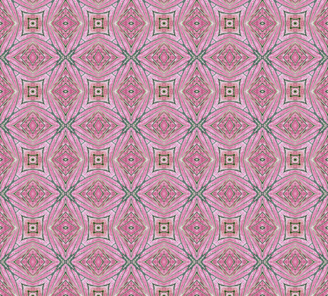caladiums