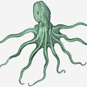 octopus - green large scale