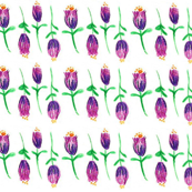 Purple Tulips