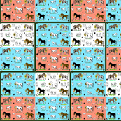 StonyPony