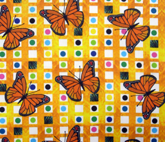 Urban Butterfly Sighting
