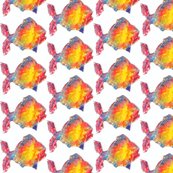Rrfish_ed_shop_thumb