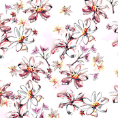 wild_meadow