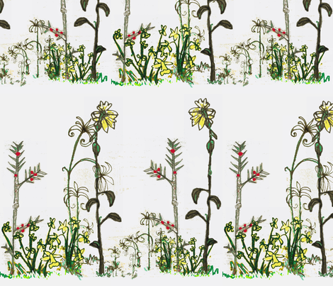 Meadow