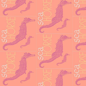 Seahorse (peach & purple)