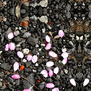 petal drop