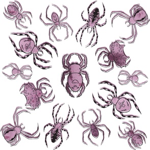 Radial Spider Pattern