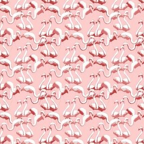 Plastic Flamingos - Pink