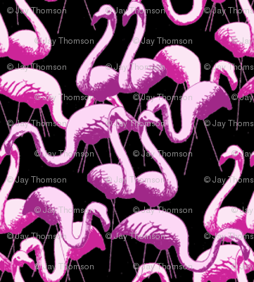 Plastic Flamingos - Black