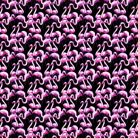 Rflamingos_black_shop_preview
