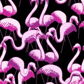 Rflamingos_black_shop_thumb