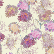 anemone