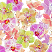 bright_orchids