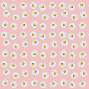 Eggs on Pink