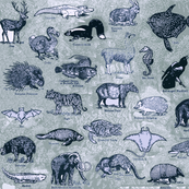 BLUE_ANIMALS