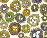 Polka Nests