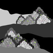 birds_in_the_mountain trees