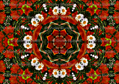 Daisy Circle