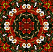Rdaisy_circle_shop_thumb