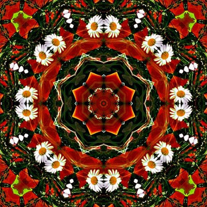 Daisy Circle