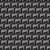 Zebras (black)