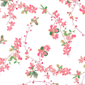 pink_blossom