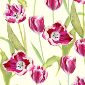 spring_tulips