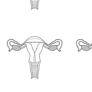 Exquisite Uterus Project