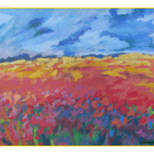 harvest plain