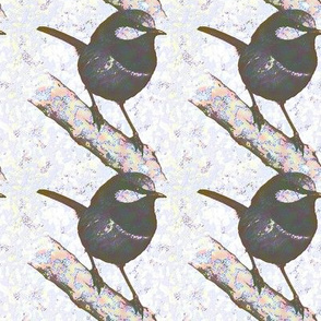 bird on a limb