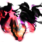 Tulip Black Pink