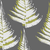 Fern - eco green