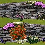 Walled_garden_1_shop_thumb