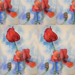 Mamo's  Poppies