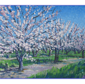 California Orchard
