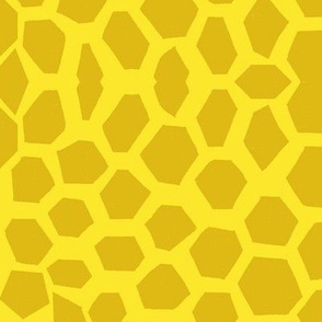Moroccan Honeycomb
