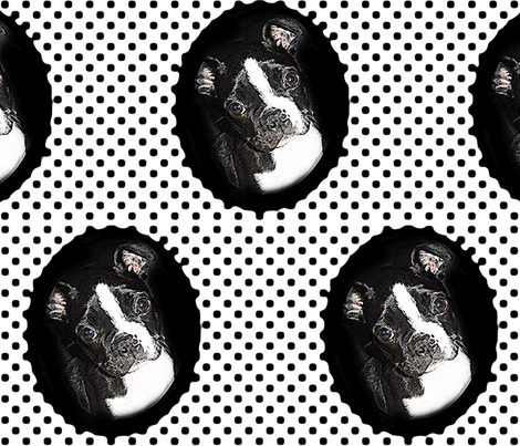 frankie_01 fabric by audettesa on Spoonflower - custom fabric