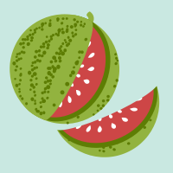 Melon Patch