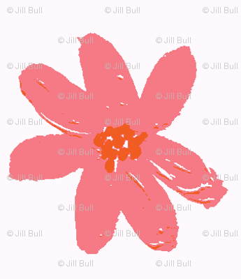daisy pink