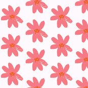Rorangepinkdaisy_shop_thumb